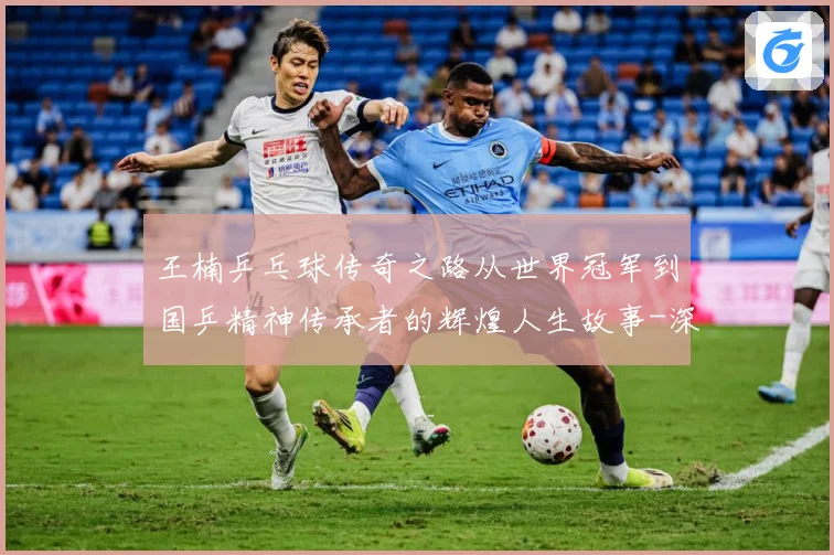 王楠乒乓球传奇之路从世界冠军到国乒精神传承者的辉煌人生故事-深度解析