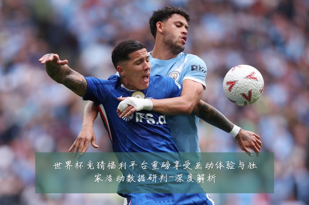 世界杯竞猜福利平台重磅享受互动体验与独家活动数据研判-深度解析