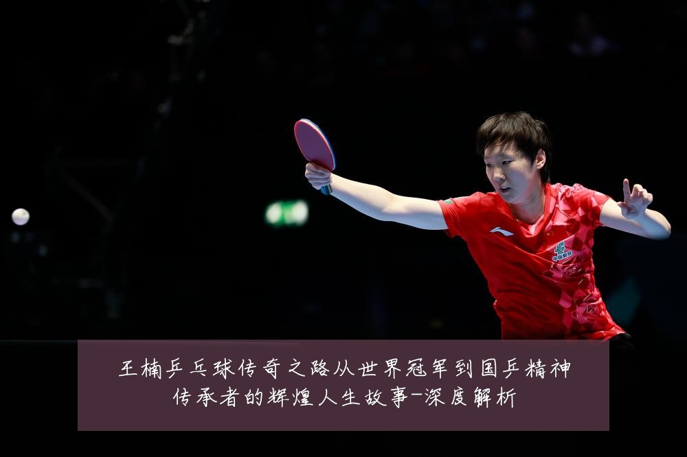 王楠乒乓球传奇之路从世界冠军到国乒精神传承者的辉煌人生故事-深度解析